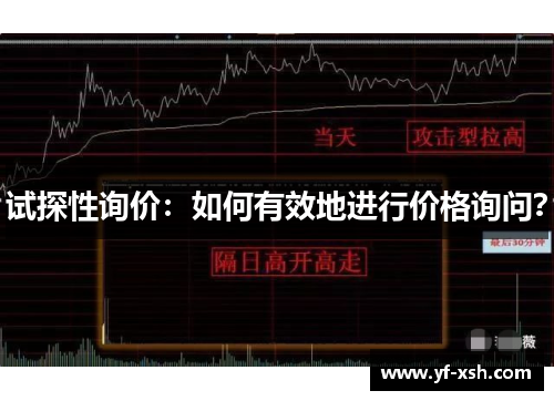 试探性询价：如何有效地进行价格询问？